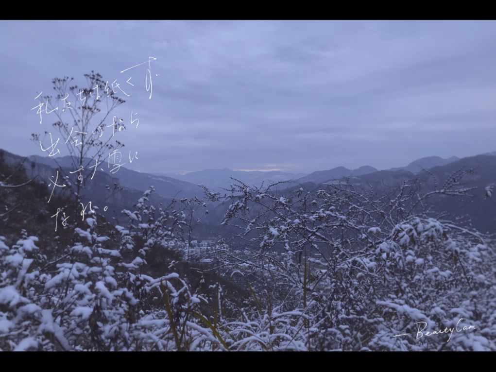 史上最贱小游戏之网络