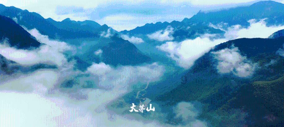 野餐女孩救援
